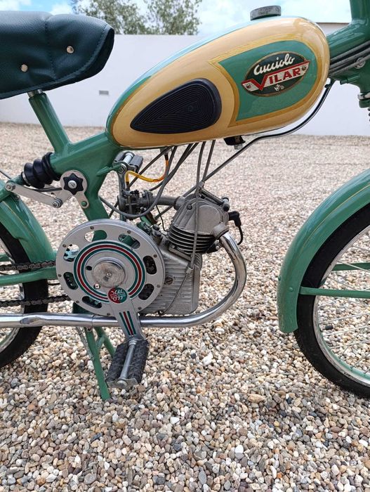 CUCCIOLO Vilar 1955