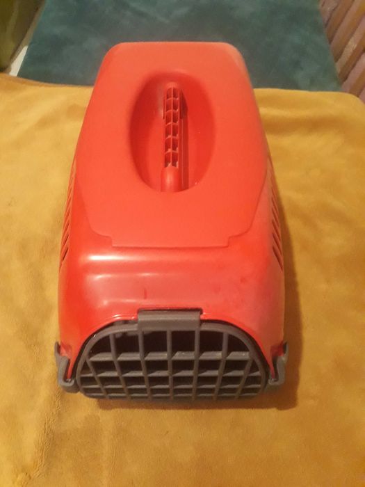 Pequena cesta de gato