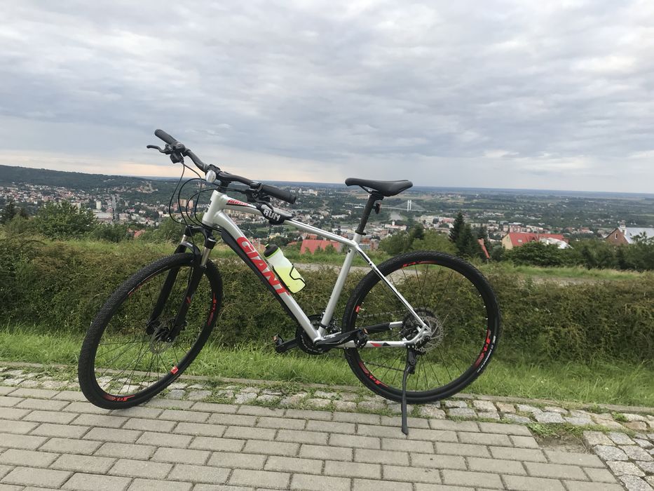 Rower Giant Roam L