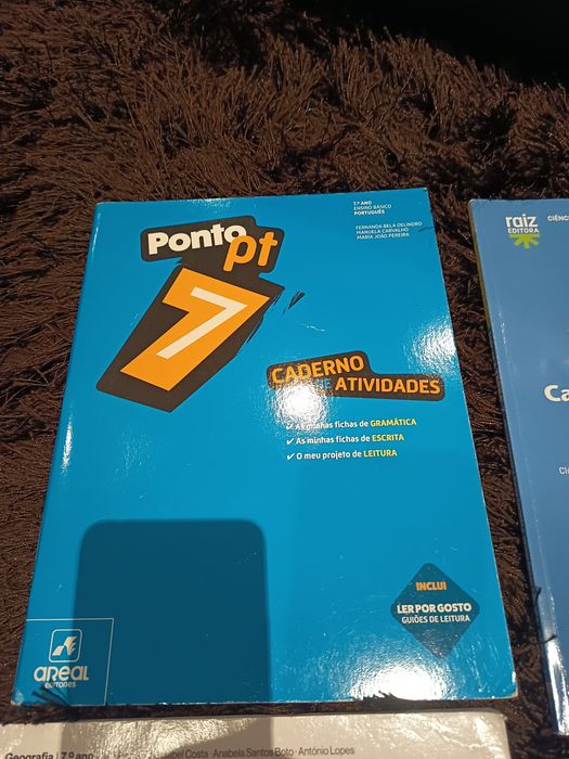 Livros de atividades de várias disciplinas para o 7 ano