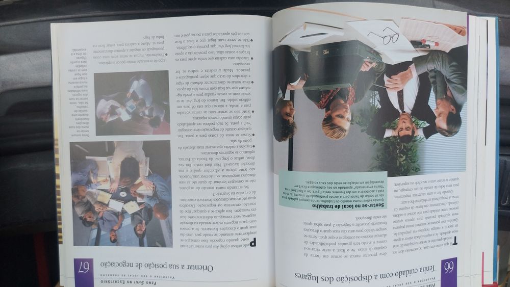 Guia Prático de Feng Shui de Lillian Too