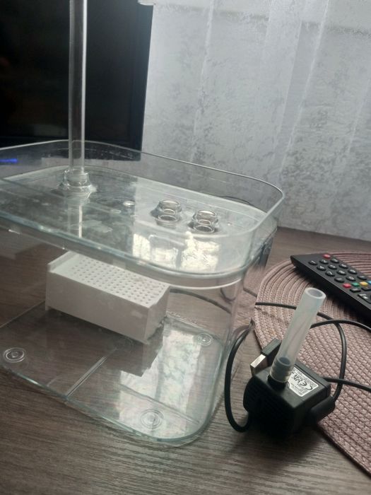 Поїлка для кота, собачки