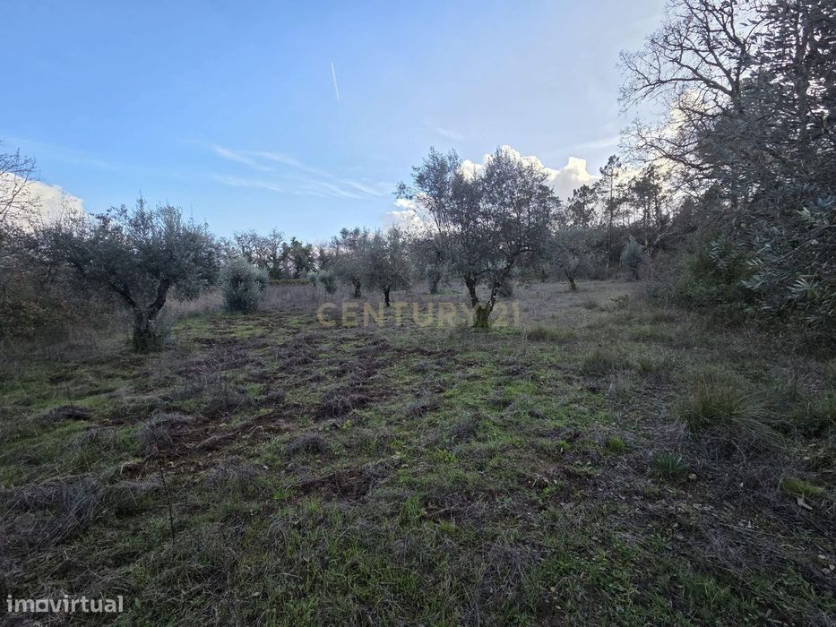 Terreno Rústico 27.000 m² || Alvorge || Ansião