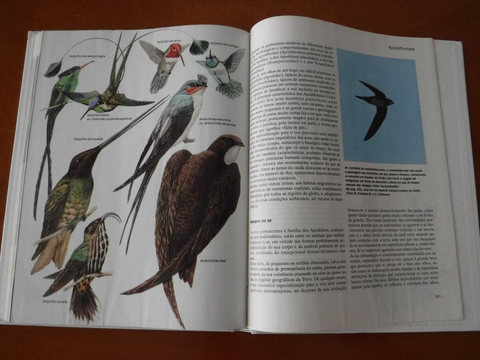 Os Animais - Público e Planeta Agostini