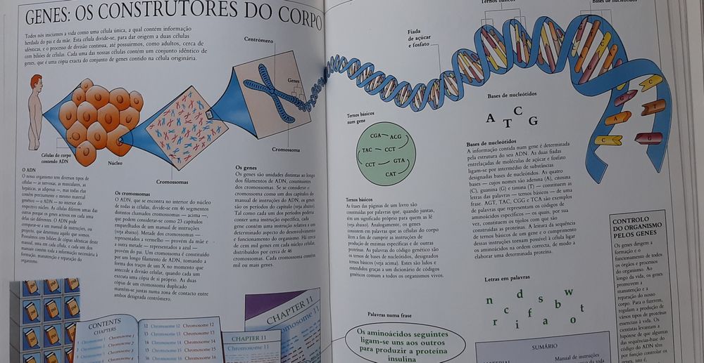 Biblioteca médica da família