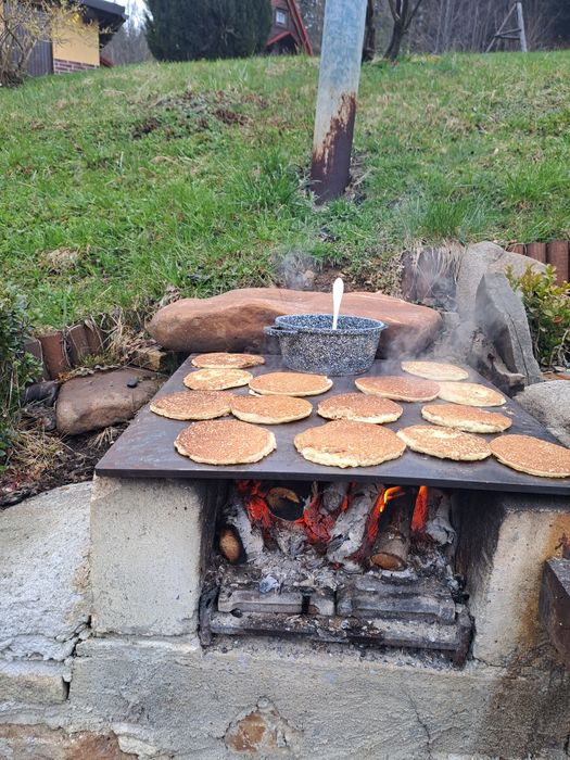 Domki do wynajęcia w  górach.