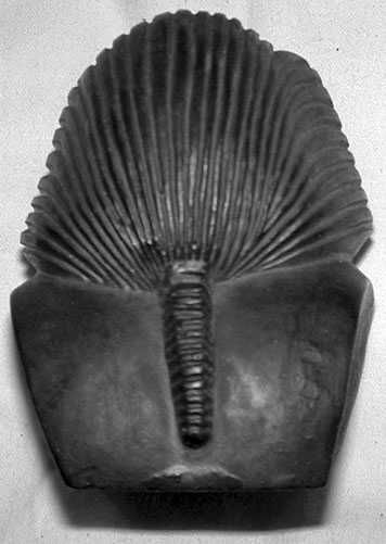 Czarny Kobalt Kolekcjonerska Figurka Egipski Faraon Popiersie Ceramika