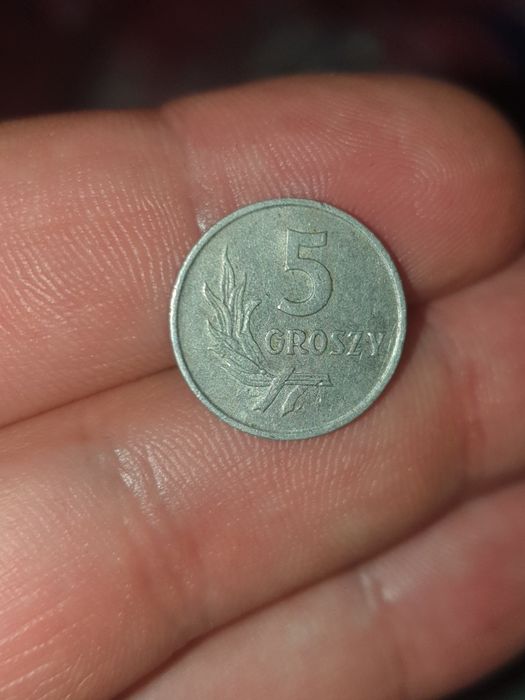 Moneta 5 groszy z 1972 stan dobry z plusem.