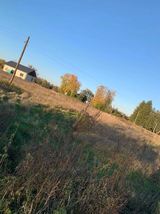 житловий будинок та земельна ділянка 46,5 сот