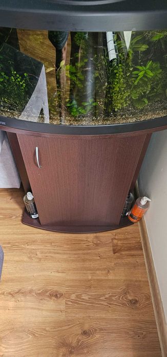 Rosline akwarium 60l