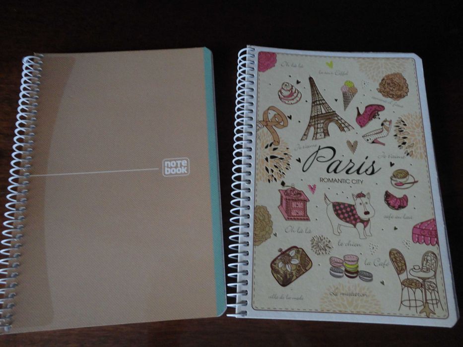 Тетради 96 листов на пружине