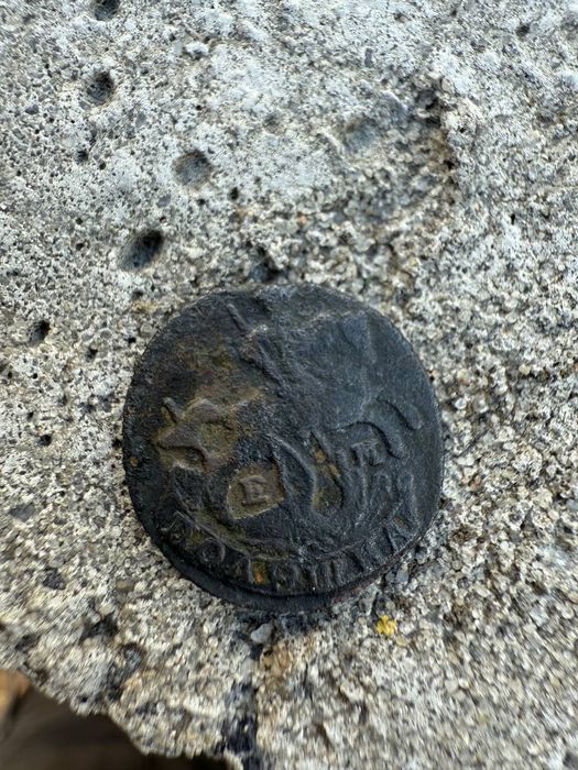 Полушка 1771 року