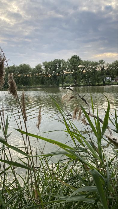 Продаж Будинок біля річки + 54сот., Обухівський  р-н с. Красне Перше