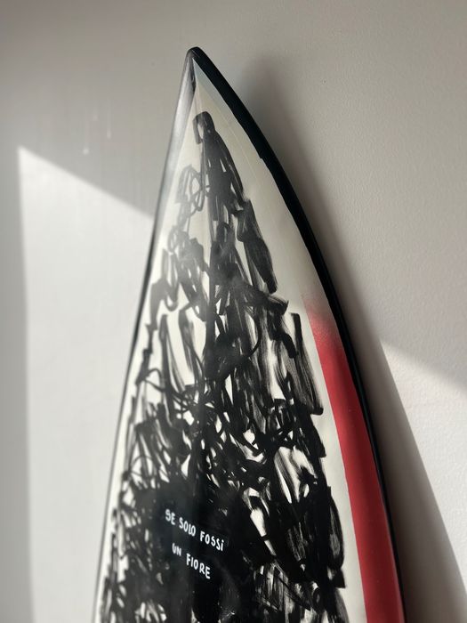 Prancha de surf Razman 5'6". 18 3/16 . 2 3/16    23.8 L