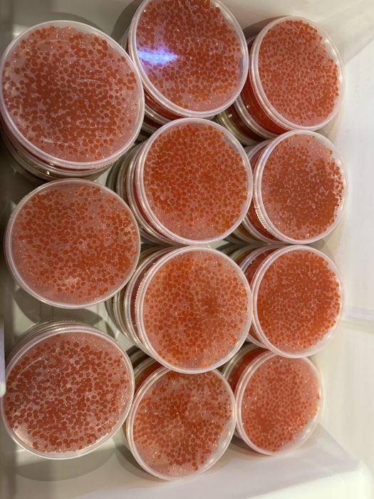 Красная икра Кеты, Горбуши, Кижуча, Нерки