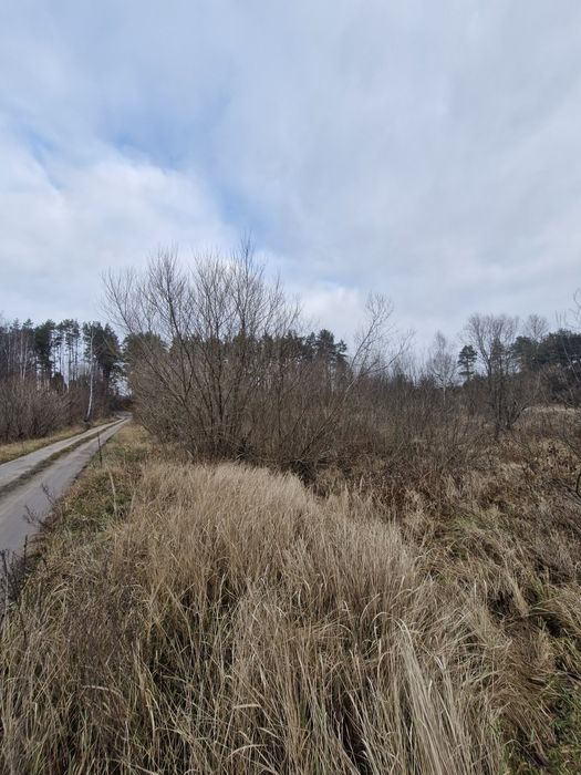 Продається земельна ділянка в  Перлявці.