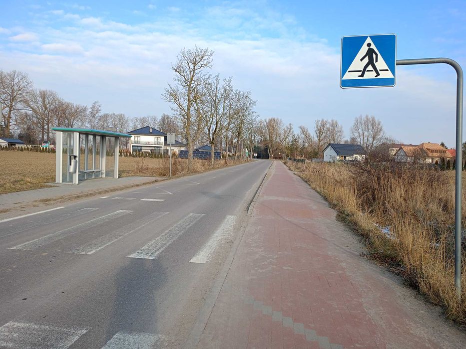 Zdjęcie 3