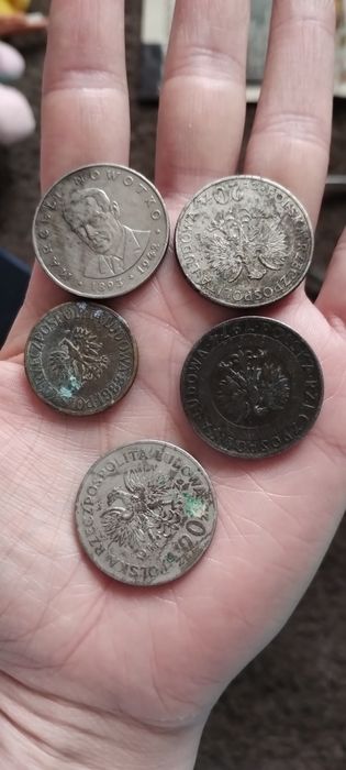 Мотети країни Польща