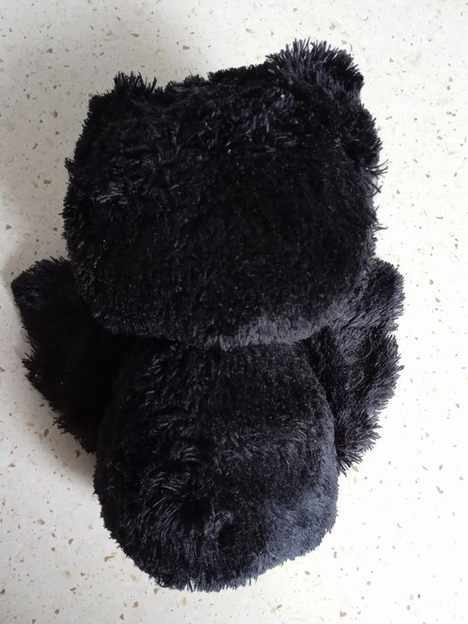 (5) Beanie boo Igor maskotka TY nietoperz