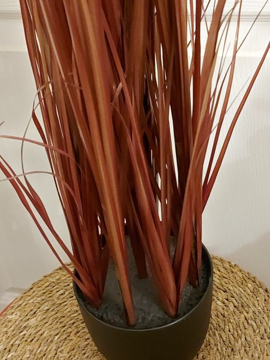 Рослина трава пампасна очерет штучна 90 см