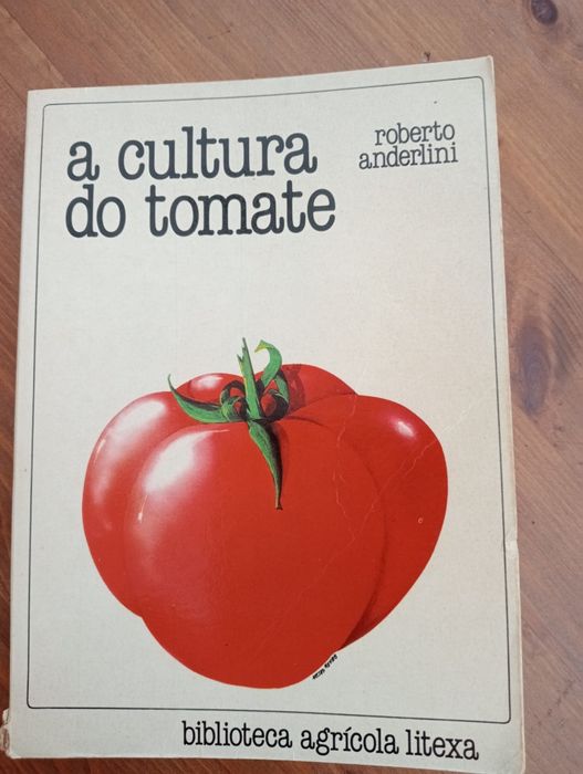 A cultura do tomate