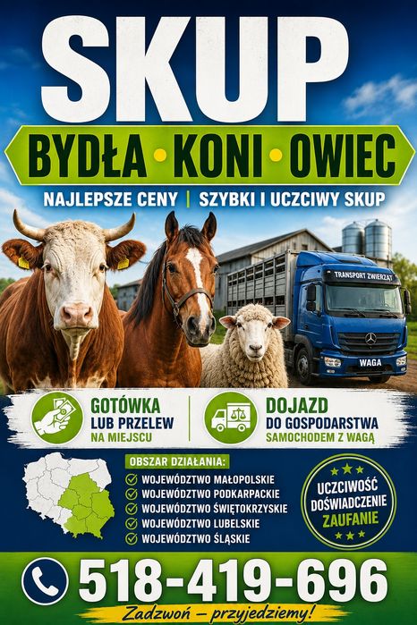 Skup koni,bydła,owiec,cieląt