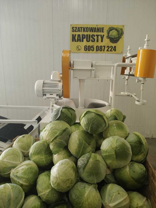 Kapusta szatkowana