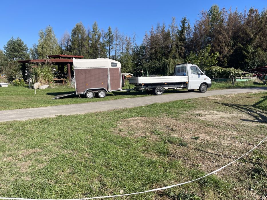 Wynajem auta z kierowcą Transport, przewóz rzeczy usługi, wywrotka