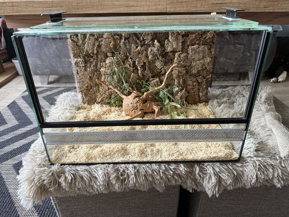 Terrarium 45x30x30