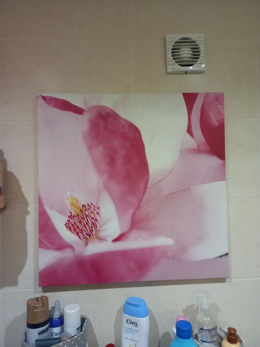 Tela decorativa.