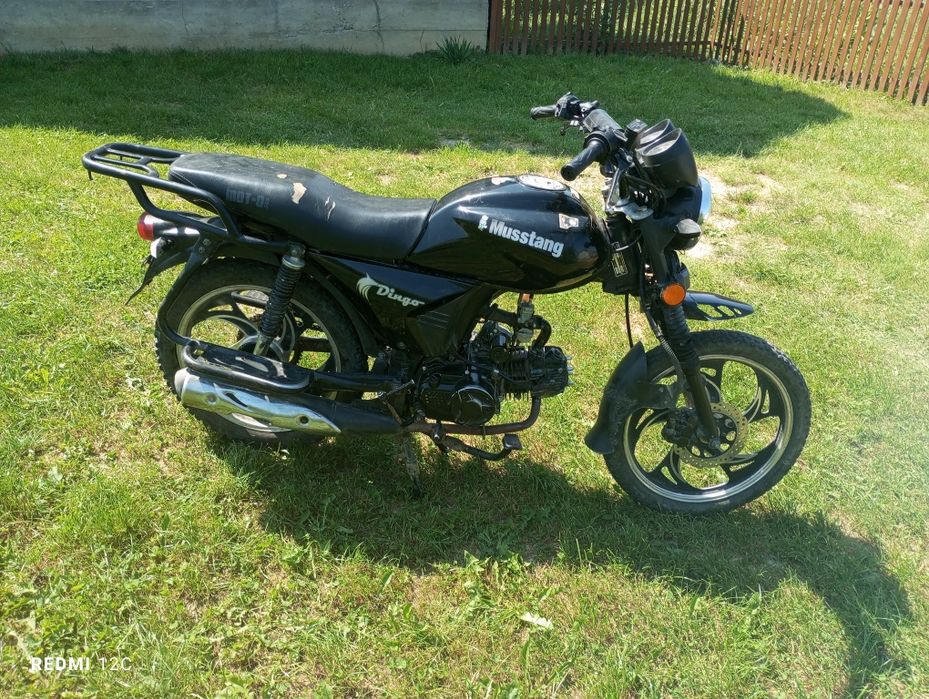 Мустанг дінго 125
