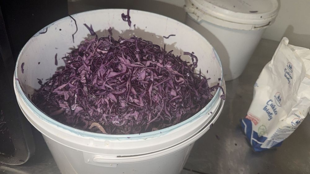 Otdam wiadra plastikowe 5l