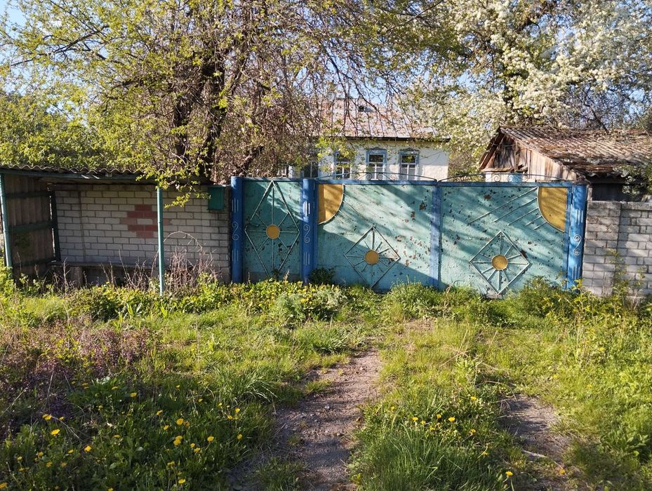 Будинок в с.Жуківка, Чернігівський район