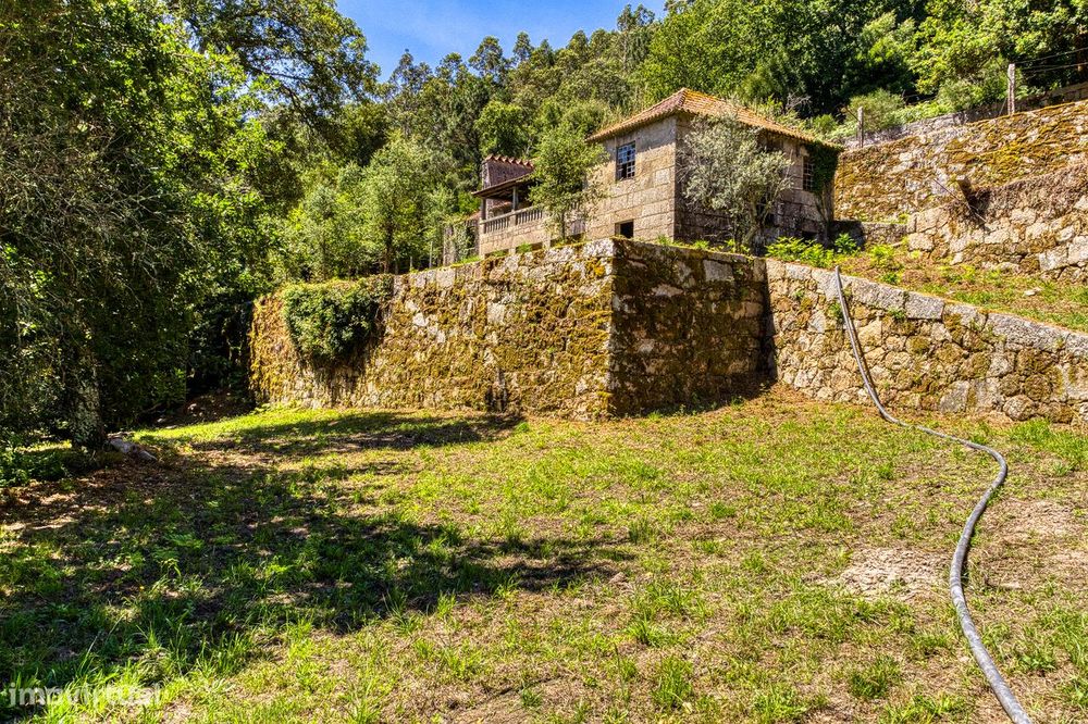 Quinta No Vale Do Douro - 2 Casas Em Pedra, 11 Hectares De Terreno