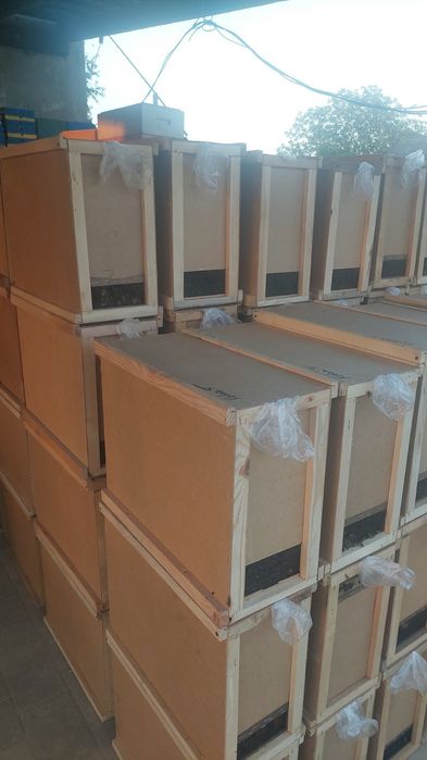 Бджолопакети Вучківський тип