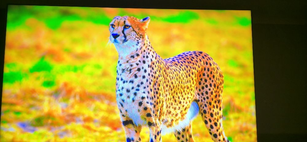 Telewizor Samsung 120hz QN800C 75" 8K Neo Qled  Smart