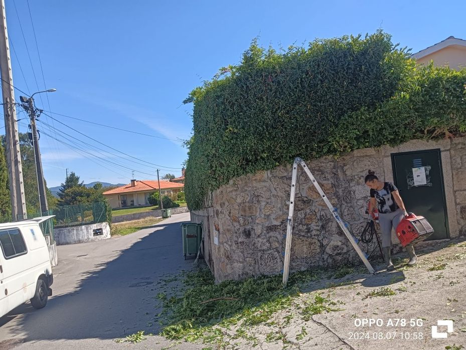 Limpezas de terrenos