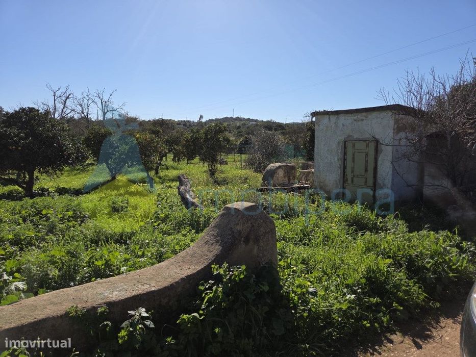 Horta com Nora — Albufeira E Olhos De Água, Faro