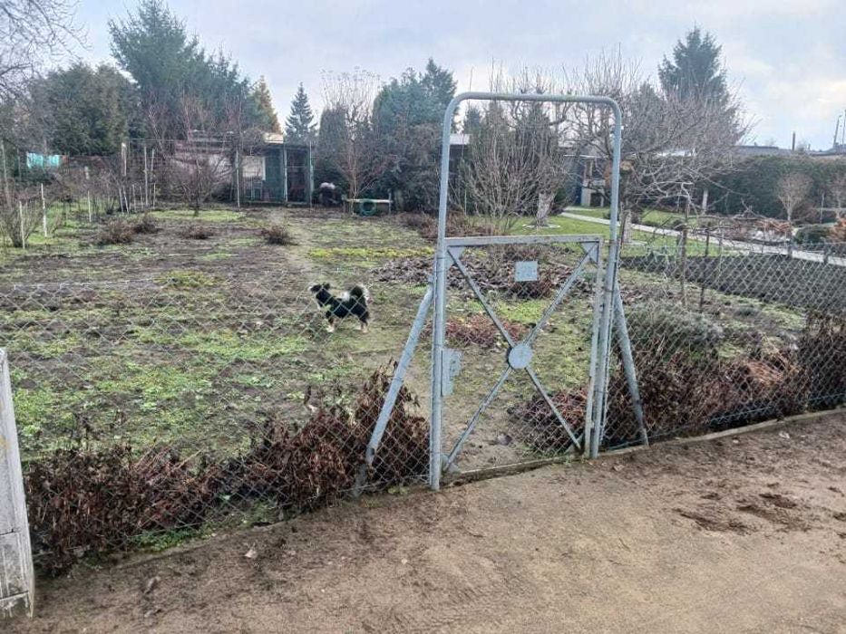 Działka ROD Leszno, Leszczynko