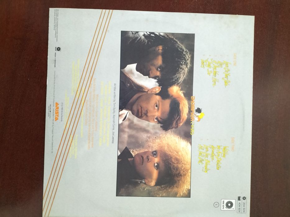 LP em vinil dos Thompson Twins