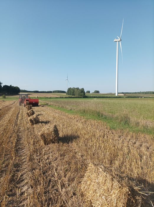 Słoma z owsa kostka 2025 1sztuka