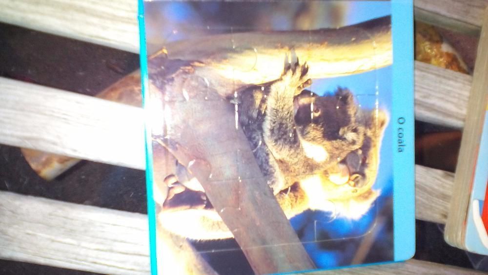 Livro de Animais Puzzle