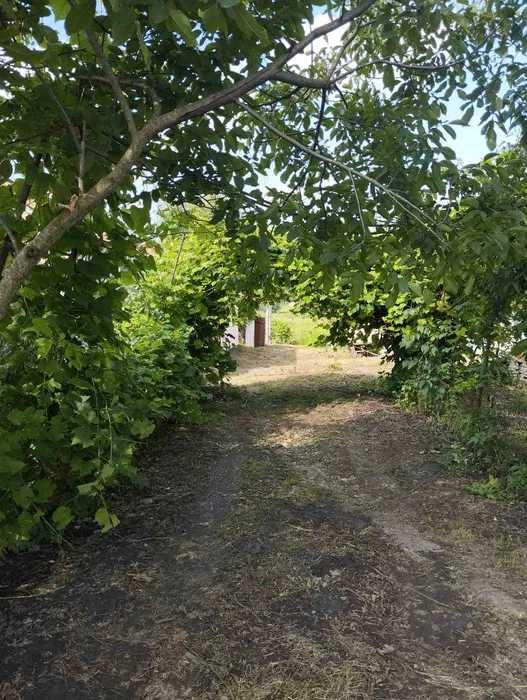 Будинок з ділянкою у с.Перевередів