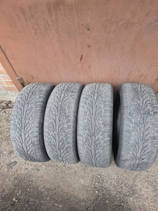 Зимові шини Petlas Glacier W661 215/55 r17