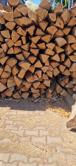 Drewno kominkowe suchy dąb opał