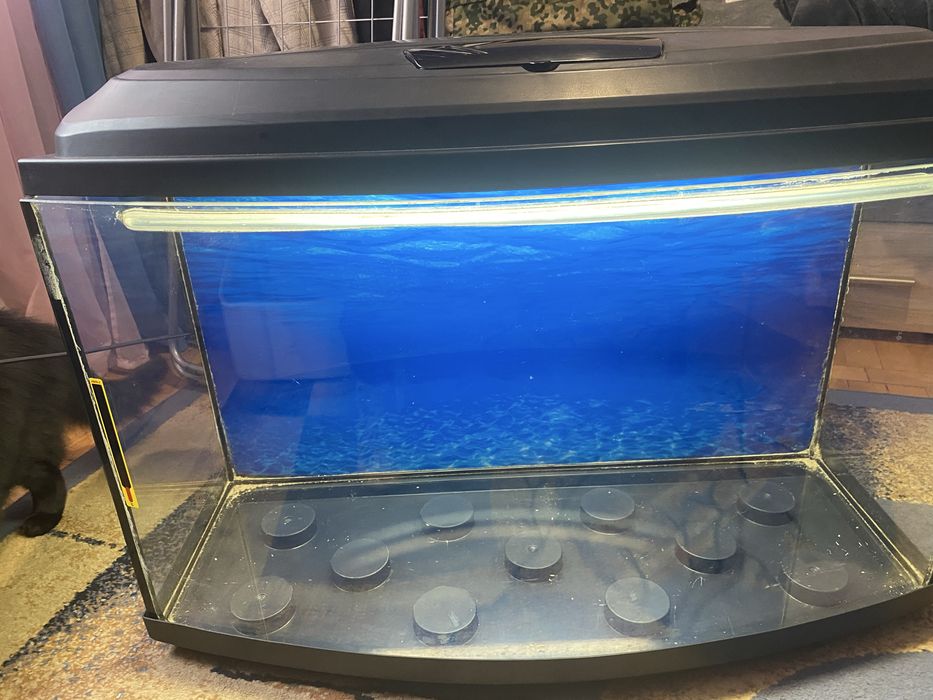 Акваріум 30х80 в хорошому стані