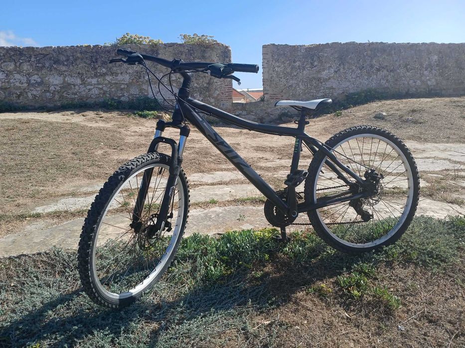 Bicicleta spitz terrain