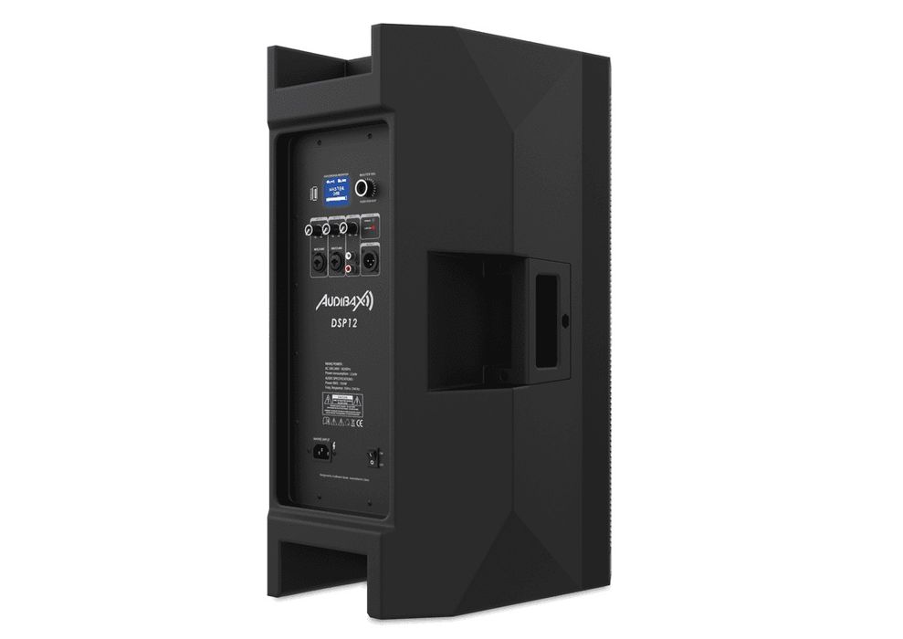 Potência, Precisão, e Performance: O DSP12 Eleva Qualquer Espaço”