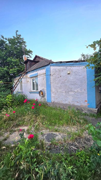 Одноповерховий будинок по вул.Небесної сотні.