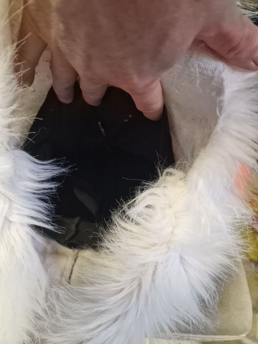 Fursuit furry bardzo ladny profesjonalny komplet